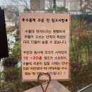 딸기애견 | [해운대브런치카페] 애견동반 딸기수플레 맛집 오이라 방문후기