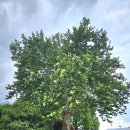 강원도립화목원 이미지