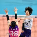 월드유도체육관 이미지