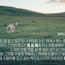 하나님의교회 (안상홍님 & 어머니하나님) # 하나님의 보호받아 재앙 넘기는 절기 '유월절' 이미지