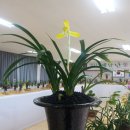 해남읍사무소 이미지