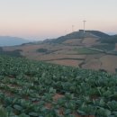 강릉굿모닝 이미지