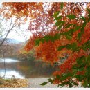 2025/11월15일 토요일 전북 고창 선운산 단풍 경치 트래킹 이미지