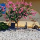 굴구지정원 이미지