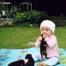 우리집 강아지 이미지