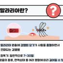 한아름기획 - 노원구 공릉로38길 15-18 | 강서구보건소 ｜ 말라리아 예방 리플렛 제작 및 납품 후기 (1,000부 제작)