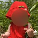 삼성동주민센타 이미지