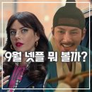 청도메디컬 | [공지] 넷플릭스 9월 예정작 드라마 영화 라인업 스캔들 피지컬100 이탈리아 멕시코