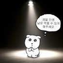 은지네김밥 | 시간을 넘어 너에게로 갈 수 있을까