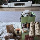 CCY코인노래연습장(부경대점) 이미지