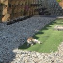 정을품은 펜션 이미지