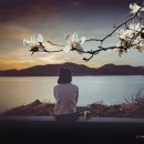 허공 카카오 검색결과