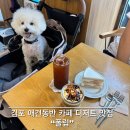 김포 애견동반 카페 글루텐프리 디저트 : 폴럽