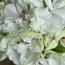 참아름교회 이미지