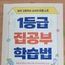 유선화