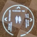 엘 꼬시네로 이미지