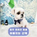 이뻐지는산책 이미지