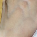 에이플농장 이미지