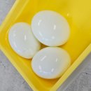 숙제한의원 | 노원다이어트한의원 한약다이어트 후기 복용방법 식단관리