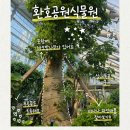 바오밥나무 | [포항 가볼만한곳] 아이와 함께가기 너무 좋은 '환호공원 식물원' (+바오밥나무 키링 스탬프 투어)