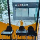 막창도둑 양산점