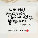 이프로미디어