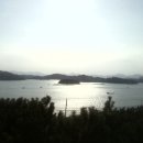 세구지공원 Daum카페