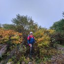 노고단-16 이미지