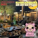 동래 안락동 맛집 달벌생막창 숨은 분위기 좋은 술집