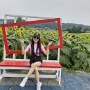 웰빙댄스스포츠 이미지