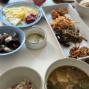 4186 | [칭다오🇨🇳] 산둥항공 SC4186 자오둥 공항 인근 숙소 무료 픽드랍 가능한 자오둥 공항 호텔