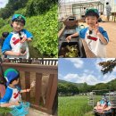 오산농원 영농조합법인 | 용인 아이와 가볼만 한 곳[한터농원 후기] 주말 나들이로 최고!