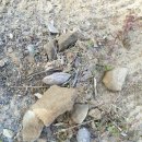 계창초등학교 이미지