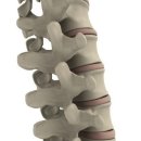 예신경외과의원 이미지