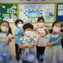 김녕초등학교 이미지