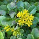 기린초등학교 이미지