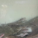 영도오토바이