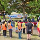 영천초등학교 이미지