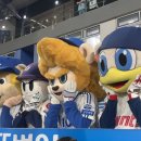 블루존 이미지