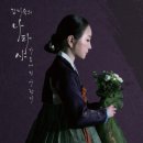 다원핀 이미지