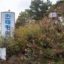 바람고갯길 이미지