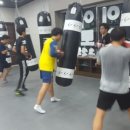 에이스복싱 네이버블로그
