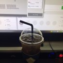 엘씨피시방