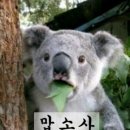 여수밤바다 펜션 이미지