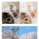 에피소드 | 뉴에피소드 프리셋 사진 필터 내돈내산 솔직후기