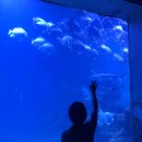 작은동물원수족관 이미지