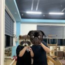 요가A  파워다이어트요가 | 전주다이어트, 여성 전용 전주 삼천동 유코어필라테스요가(비만인 체험 후기)