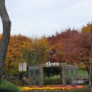 소풍정원1 | [평택 소풍정원캠핑장] 1박 2일 캠핑 후기_가을 냄새 가득한 밤, 난로 위 고구마의 행복