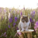 안강골프클럽 이미지