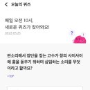 수메이트 이미지